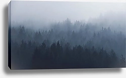 Постер Голубой туманный лес