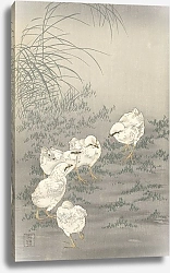 Постер Косон Охара Five chicks