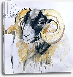Постер Гиббс Лоу (совр) Long Horn Sheep 2