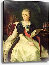 Постер Школа: Русская 18в. Portrait of Princess Yekaterina R. Vorontsova-Dashkova