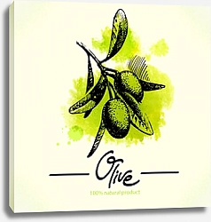Постер Оливковая ветвь с зеленой кляксой