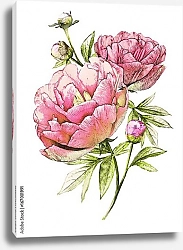 Постер Ветка розовых пионов