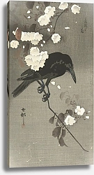 Постер Косон Охара Crow with cherry blossom