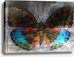 Постер Бабочка с голубыми крыльями на гранж  фоне