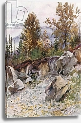 Постер Коппинг Харольд Mount Mackenzie, from the Quarry near Revelstoke