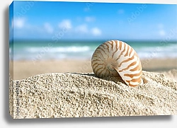 Постер Ракушка на фоне океана
