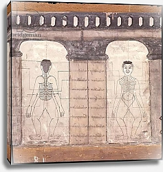 Постер Школа: Тайская Depiction of massage points on the human body