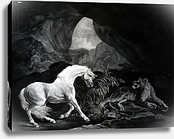Постер Стаббс Джордж A Horse startled by a Lioness, engraved by Benjamin Green, 1774