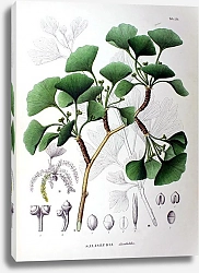 Постер Флора Японии №128