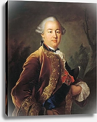 Постер Портрет графа Петра Борисовича Шереметева
