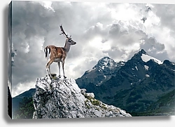 Постер Олень на вершине скалы на фоне снежных гор