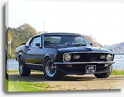 Постер Mustang Mach 1 '1970