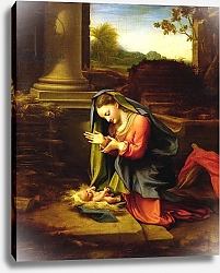 Постер Корреджо (Correggio) Our Lady Worshipping the Child, c.1518-20