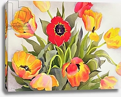 Постер Рэйленд Кристофер (совр) Orange and Red Tulips