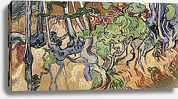 Постер Ван Гог Винсент (Vincent Van Gogh) Tree roots, 1890