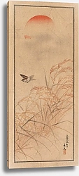Постер Сакухиро Нанбара Shūbi gakan, Pl.23