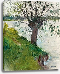 Постер Кайботт Гюстав (Gustave Caillebotte) Willow by the River; Saule au bord de la riviere, c. 1891