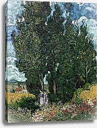Постер Ван Гог Винсент (Vincent Van Gogh) The cypresses, c.1889-90