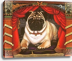 Постер Брумфильд Франсис (совр) Nabokov's Pug, 2006