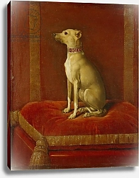 Постер Школа: Немецкая 18в. One of Frederick II's Italian greyhounds