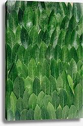 Постер Стена из листьев