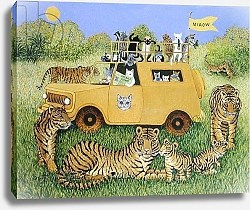 Постер Скотт Пэт (совр) Cat Safari