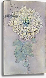 Постер Мондриан Пит Chrysanthemum 1