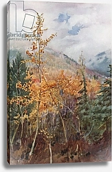 Постер Коппинг Харольд On a mountain side near Nelson, British Colombia