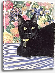 Постер Робинсон Анне (совр) Black Cat