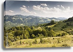 Постер Горный пейзаж, Молдавия