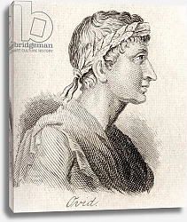 Постер Кук Д. В. Ovid