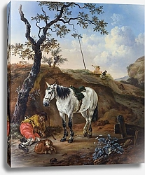 Постер Вербек Питер Белая лошадь у спящего мужчины