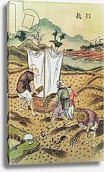 Постер Школа: Китайская The Story of Rice