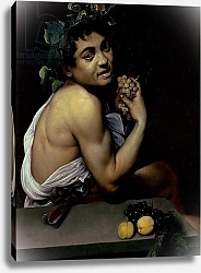 Постер Караваджо (Caravaggio) The Sick Bacchus, 1591