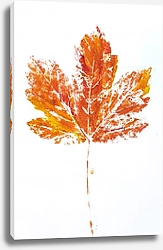 Постер Оранжевый отпечаток кленового листа