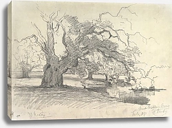Постер Руфолс Виллем Landscape with Trees near a Pond