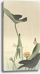 Постер Косон Охара Dragonfly and lotus