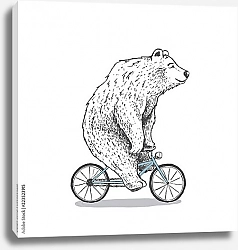 Постер Белый медведь на велосипеде