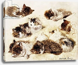 Постер Роннер-Нип Генриетта A Study of Kittens, 1898