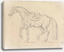 Постер Сеймур Джеймс Saddled Horse, Walking to Left