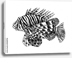Постер Рисованная рыбка-крылатка