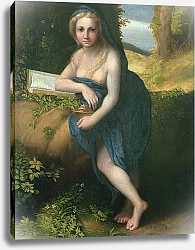Постер Корреджо (Correggio) The Magdalene, c.1518-19