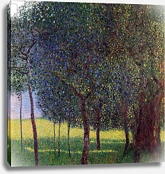 Постер Климт Густав (Gustav Klimt) Fruit Trees, 1901