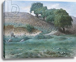 Постер Милле, Жан-Франсуа Path with Chestnut Trees near Cusset