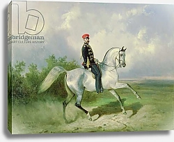Постер Сверчков Николай Portrait of Emperor Alexander II 1876 1
