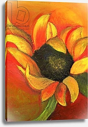 Постер Мониц Коламбус Нэнси (совр) September Sunflower, 2011,