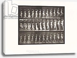Постер Муйбридж Идвеард Plate 105. Turning, Ascending Stairs, Water Jar on Left Shoulder, 1885