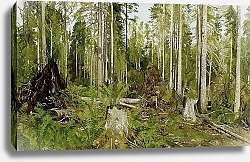 Постер Шишкин Иван Сосновый лес 2