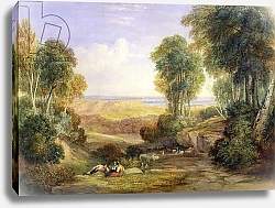 Постер Кокс Давид The Junction of the Severn and the Wye with Chepstow in the Distance, 1830