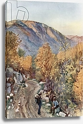 Постер Коппинг Харольд Mount Nelson